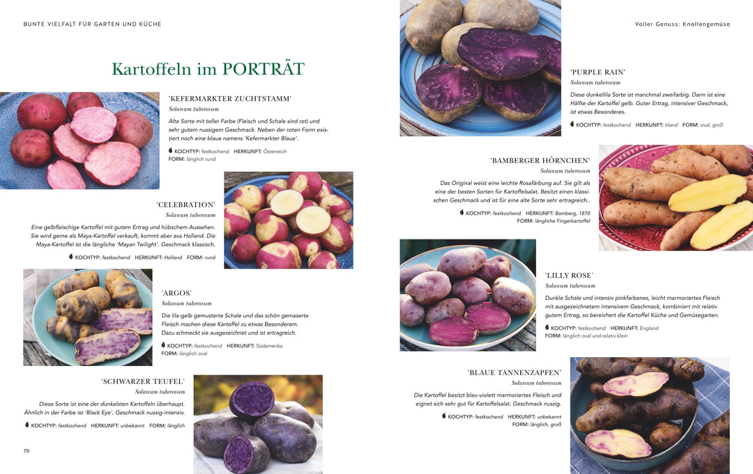 Das große Garten-Gemüse-Buch | Nagel, Cynthia