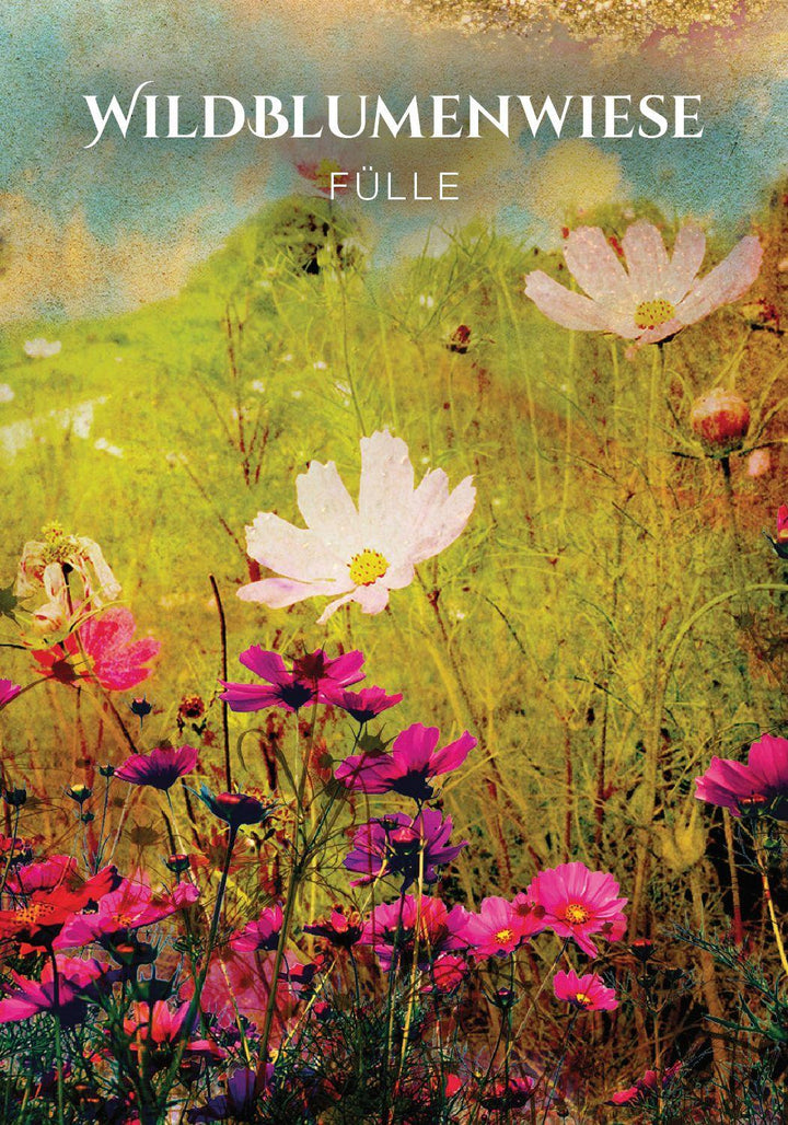 Sacred Destiny - Orakel zur heiligen Bestimmung | Linn, Denise