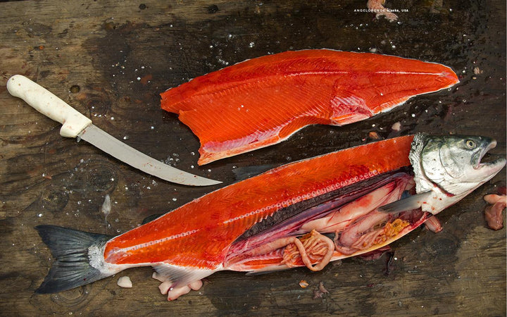 Der Fliegenfischer | -