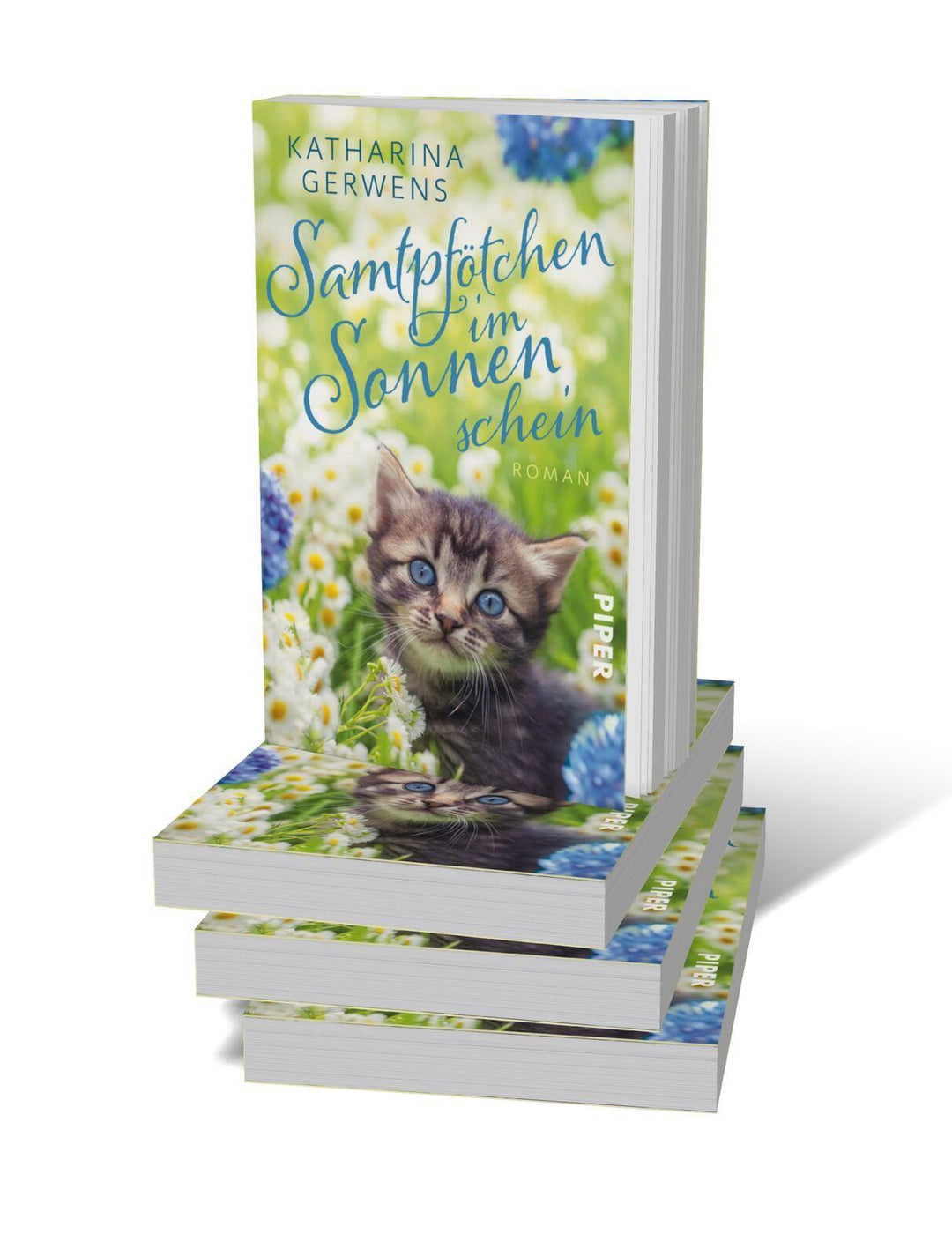 Samtpfötchen im Sonnenschein | Gerwens, Katharina