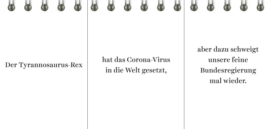 Der Desinformator | Wittkamp, Peter | Frey, Pia