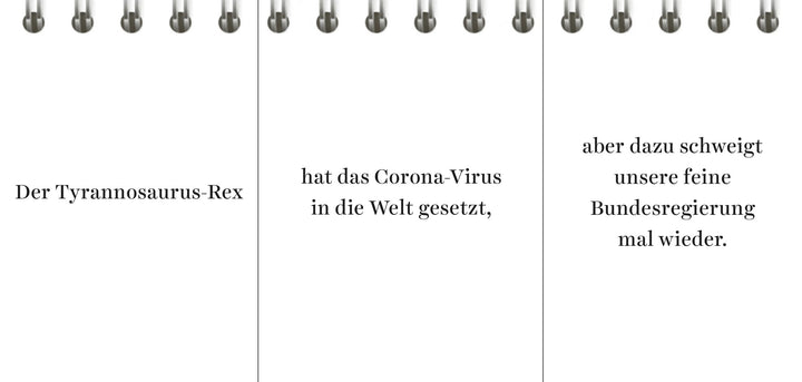 Der Desinformator | Wittkamp, Peter | Frey, Pia