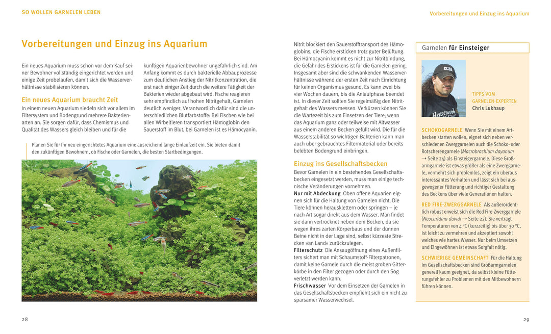 Süßwasser-Garnelen | Pekny, Reinhard | Lukhaup, Chris