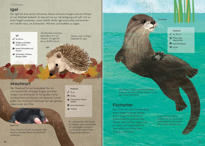 Der große Ravensburger Naturführer - Naturwissen für Kinder ab 5 Jahren | Br...