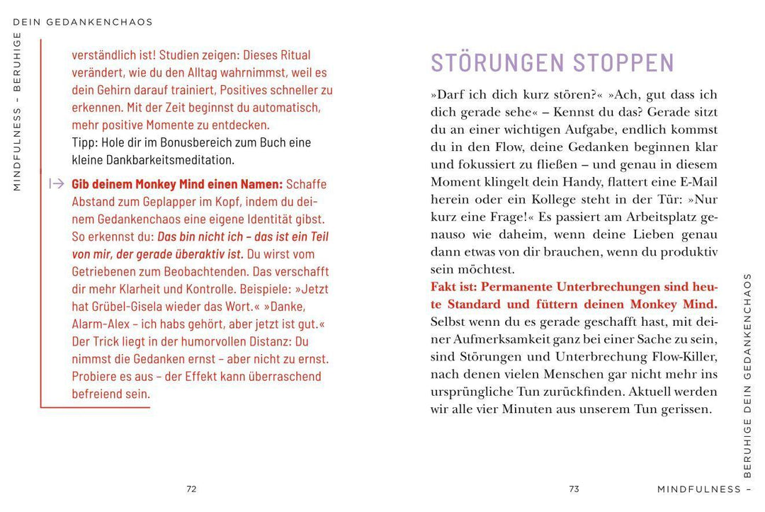 Die 1-Minuten-Strategie gegen mentale Erschöpfung | Nussbaum, Cordula