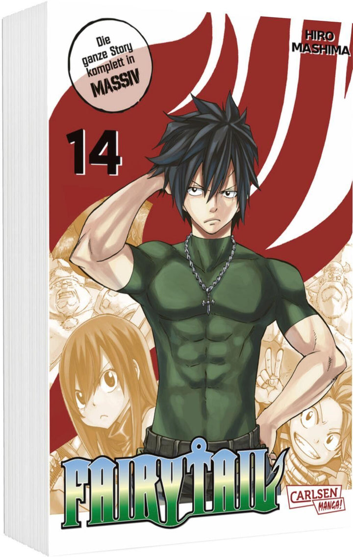 Fairy Tail Massiv 14 | Mashima, Hiro