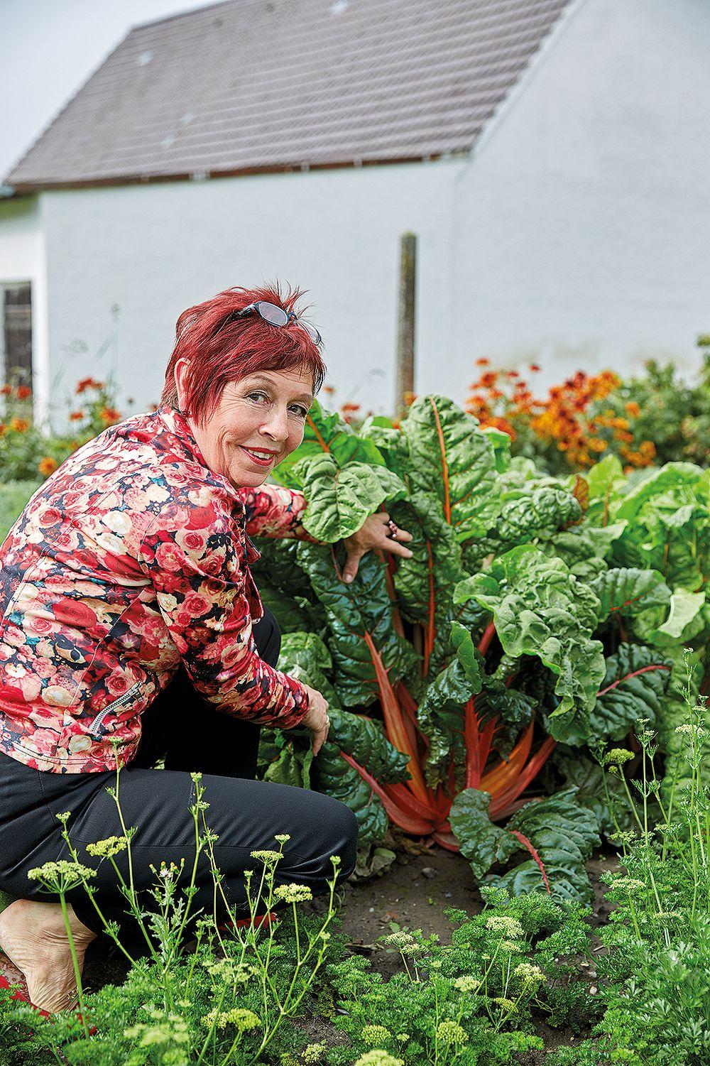 Ayurveda daily | Storb, Barbara Rosa | Neutzler, Wolfgang