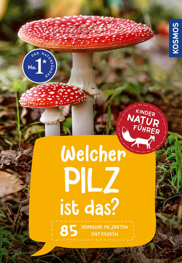 Welcher Pilz ist das? Kindernaturführer | Oftring, Bärbel | Böhning, Tanja