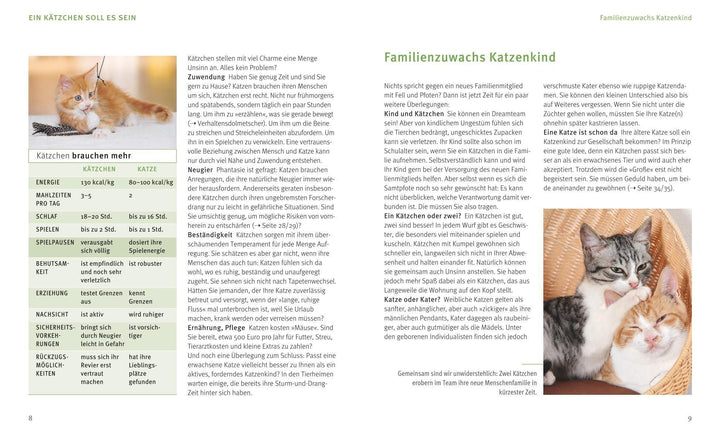 Unser Kätzchen | Eilert-Overbeck, Brigitte