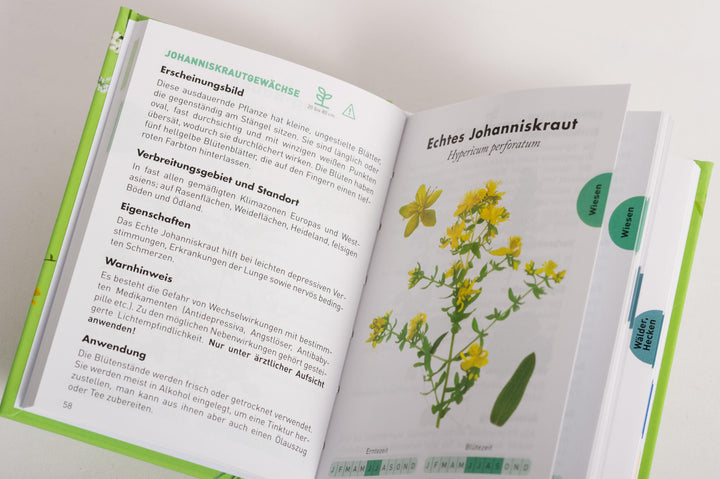 Anaconda Taschenführer Heilpflanzen. 70 Arten entdecken und bestimmen | Peyr...