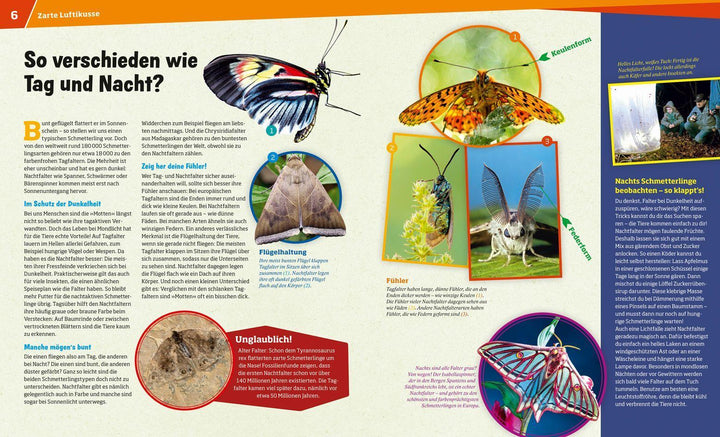 WAS IST WAS Band 43 Schmetterlinge. Zauberhaft und farbenprächtig | Röndigs,...