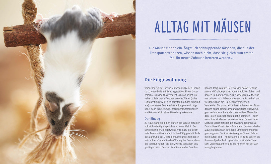 Mäuse | Beißwenger, Alexandra