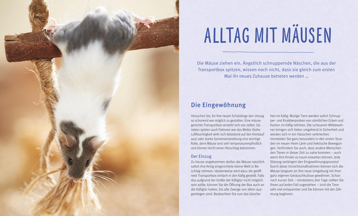 Mäuse | Beißwenger, Alexandra