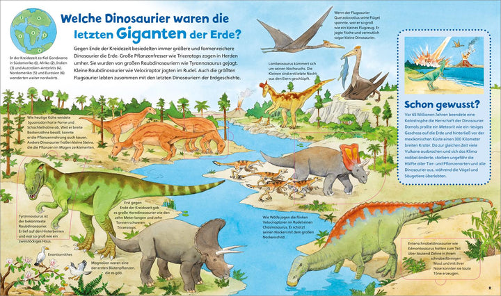 WAS IST WAS Junior Band 30. Dinosaurier und Tiere der Urzeit | Oftring, Bärbel