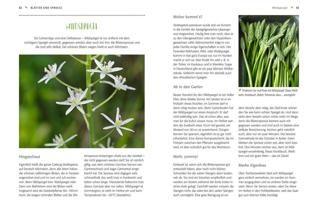 Gemüse forever! | Weidenweber, Christine