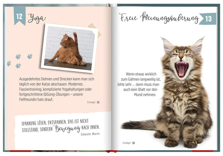 100 Dinge, die man von einer Katze lernen kann | -