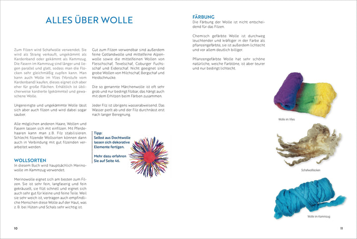 Das große Buch vom Filzen | Schaadt, Susanne | Moras, Ingrid | Olbrich, Astr...