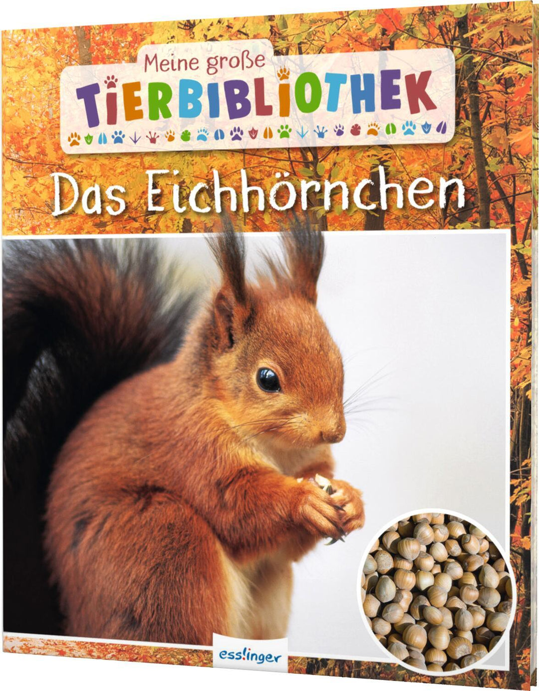 Meine große Tierbibliothek: Das Eichhörnchen | Ledu-Frattini, Stéphanie