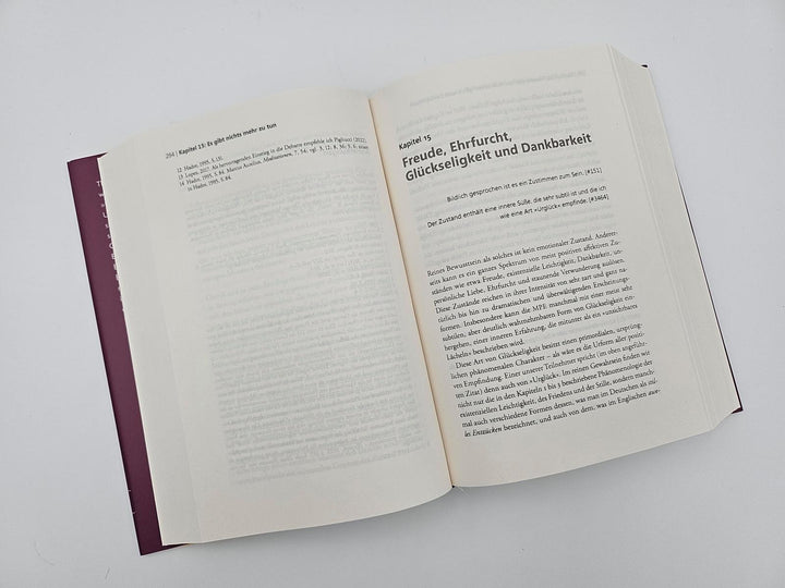 Der Elefant und die Blinden | Metzinger, Thomas