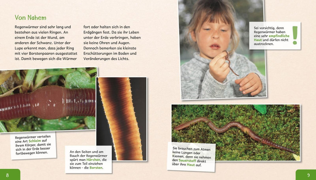 Meine große Tierbibliothek: Der Regenwurm | Tracqui, Valérie