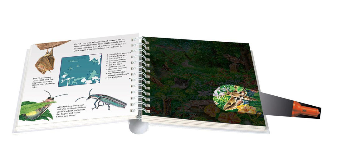 Nachts im Garten | -