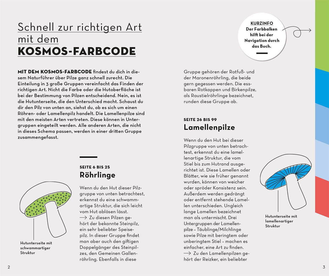 BASIC Pilze | Flück, Markus