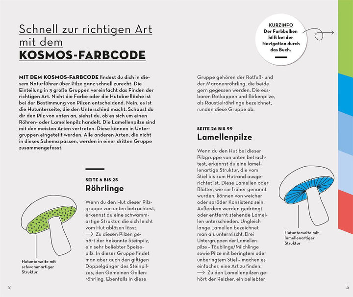 BASIC Pilze | Flück, Markus