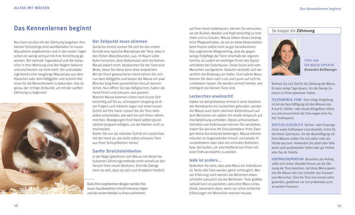 Mäuse | Beißwenger, Alexandra