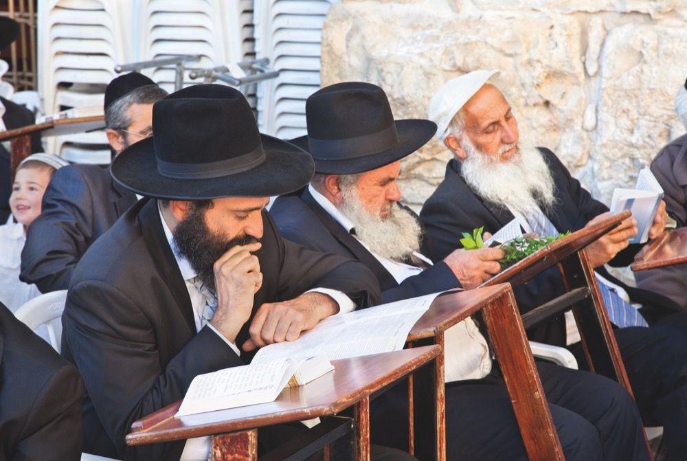 100 Highlights Israel mit Palästina und Jordanien | Nathan, Michael K.