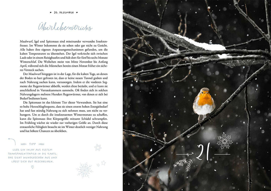Winter Moments in Nature - der Adventskalender | López, Gamander | López, Una