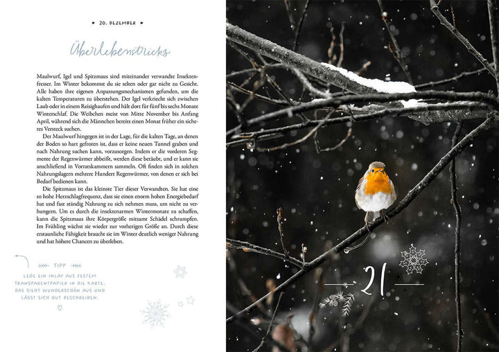 Winter Moments in Nature - der Adventskalender | López, Gamander | López, Una