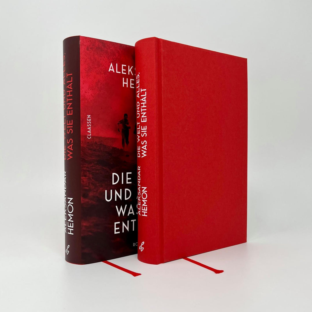 Die Welt und alles, was sie enthält | Hemon, Aleksandar