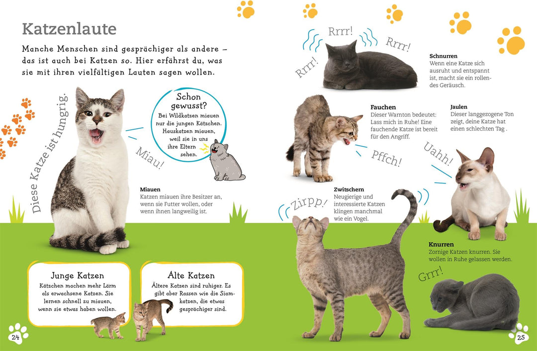 Alles über deine Katze | -