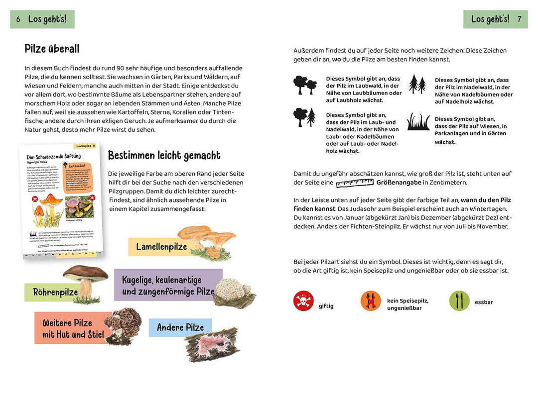 Welcher Pilz ist das? Kindernaturführer | Oftring, Bärbel | Böhning, Tanja