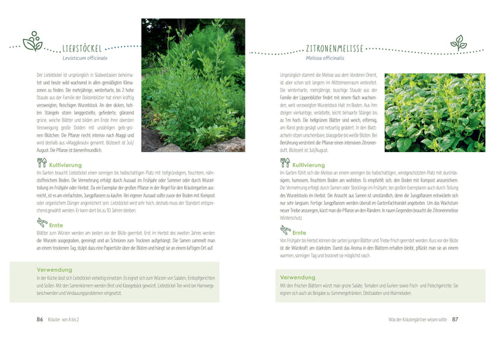 Kräutergärten anlegen und pflegen. Biologisch gärtnern und genießen | Kopp, ...