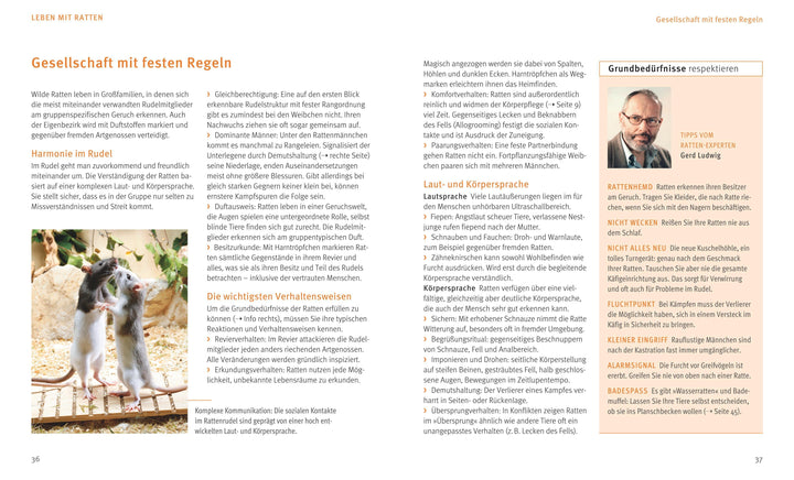 Ratten | Ludwig, Gerd