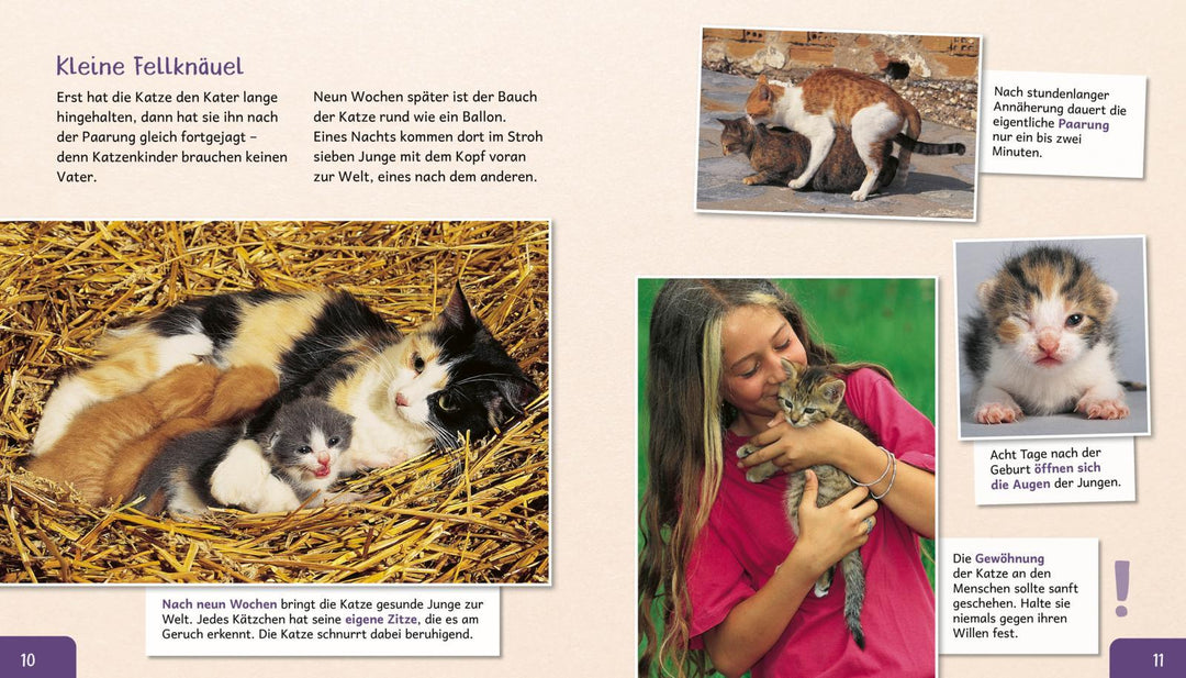 Meine große Tierbibliothek: Die Katze | Ledu-Frattini, Stéphanie