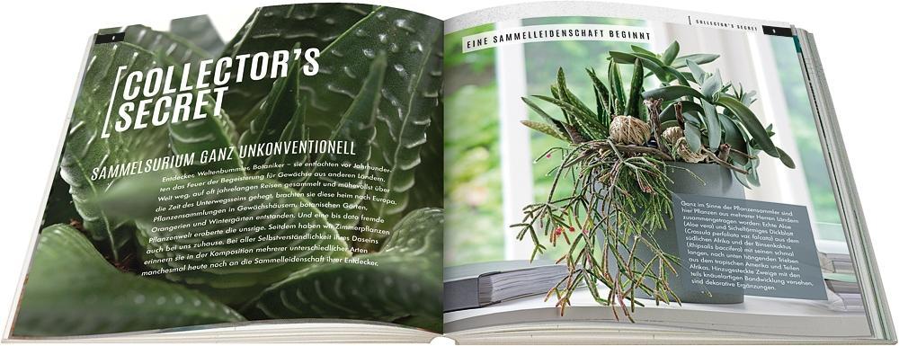 Sukkulenten mit Style | Wagener, Klaus | Team BLOOM's