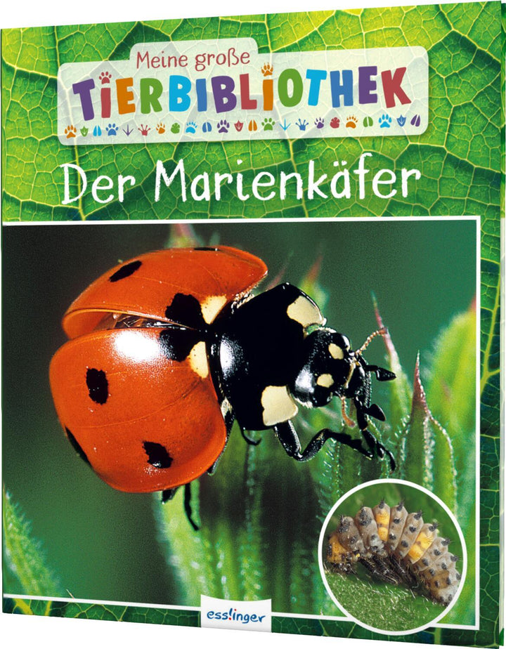 Meine große Tierbibliothek: Der Marienkäfer | Tracqui, Valérie