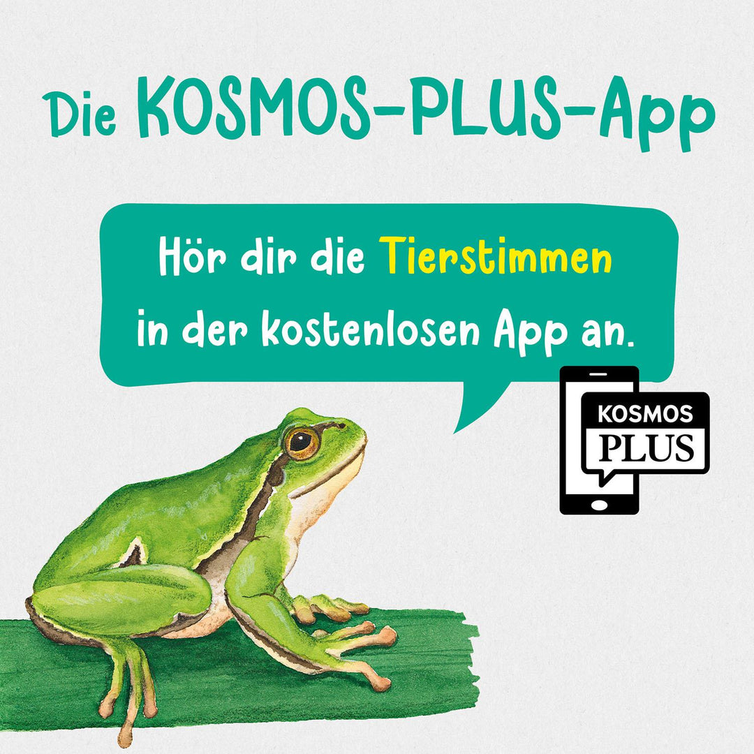 Was lebt im Wald? Kindernaturführer | Haag, Holger