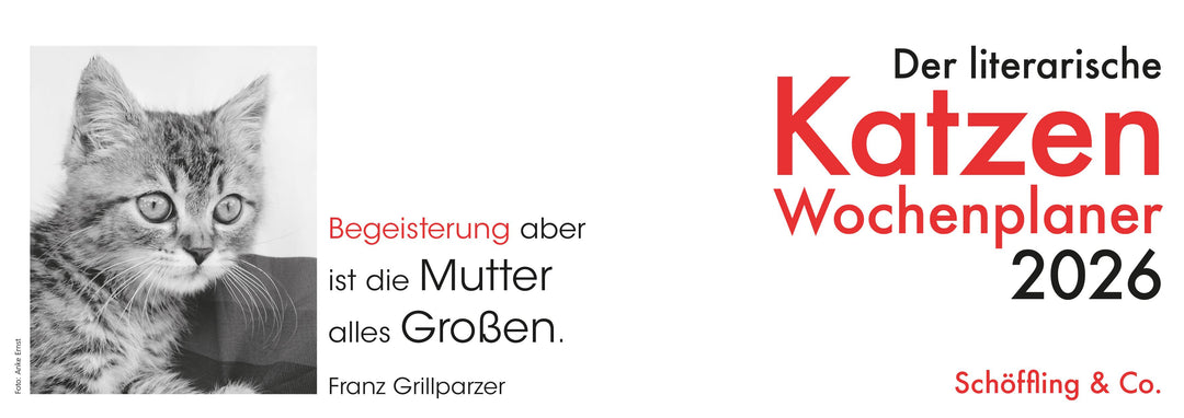 Der literarische Katzen Wochenplaner 2026 | Bachstein, Julia
