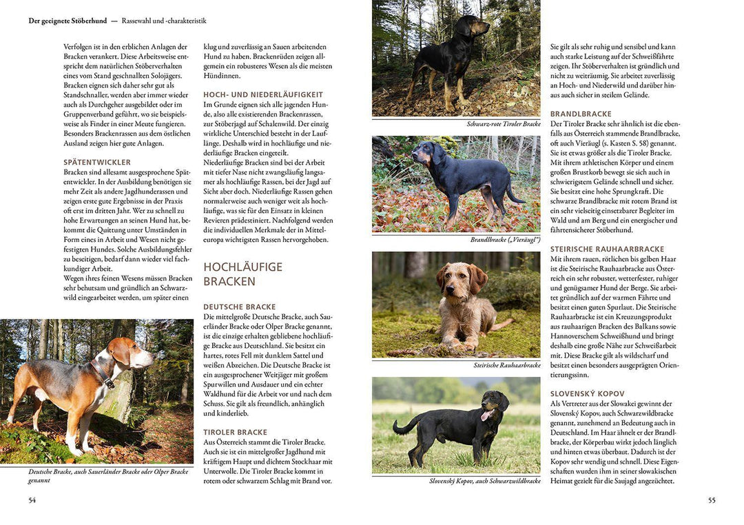 Jagen mit Stöberhunden | Mittner, Hannah | Mittner, Jonathan