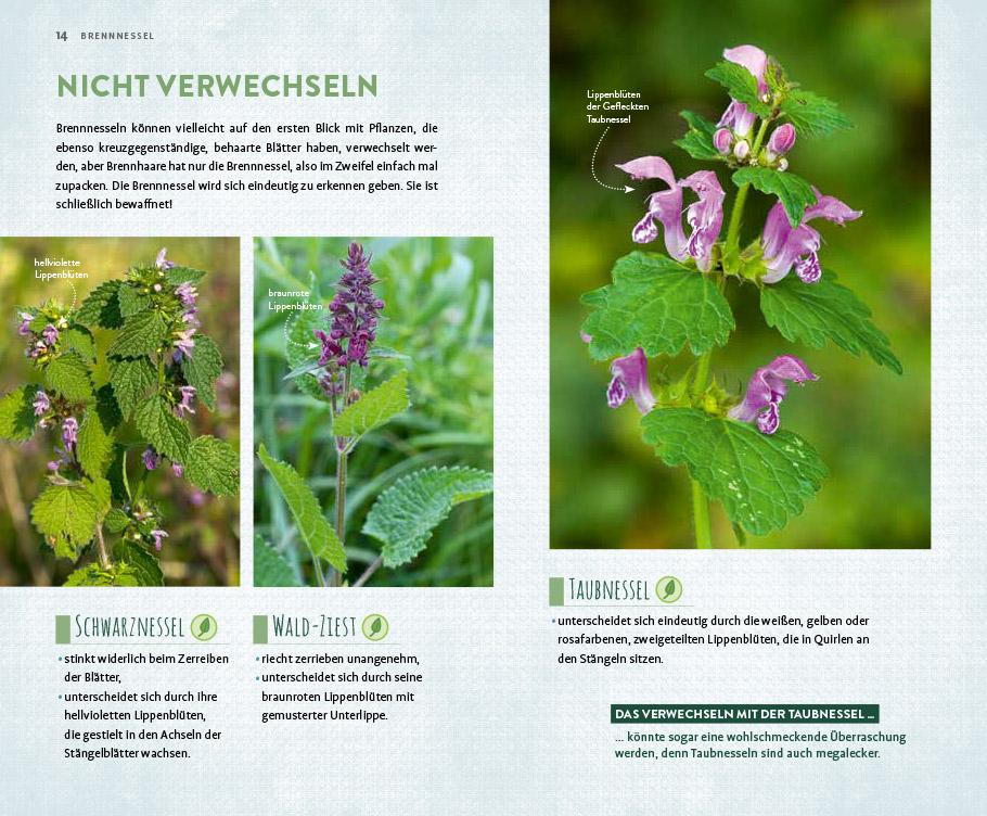 Megalästig - megalecker - megagesund | Hissel, Janine