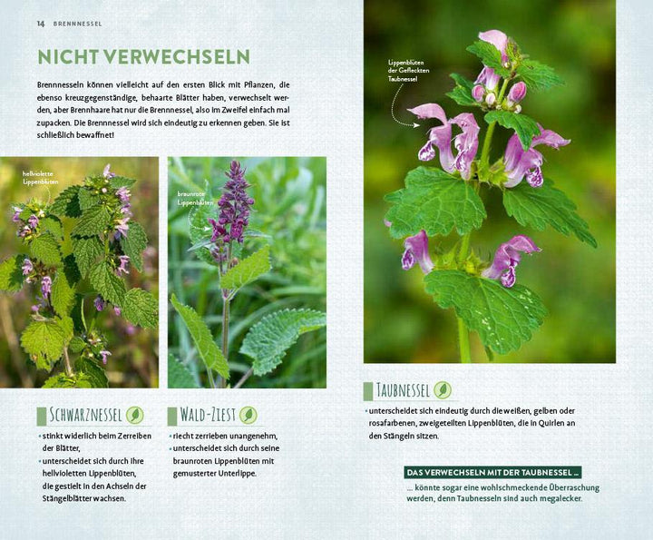 Megalästig - megalecker - megagesund | Hissel, Janine