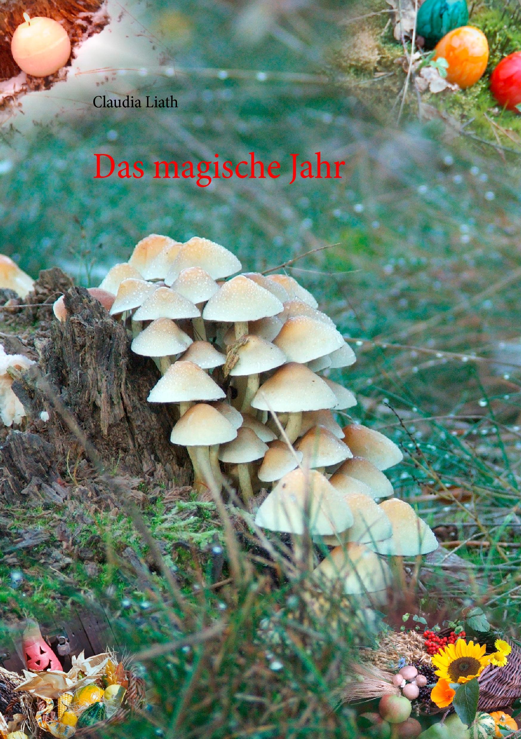 Das magische Jahr | Liath, Claudia