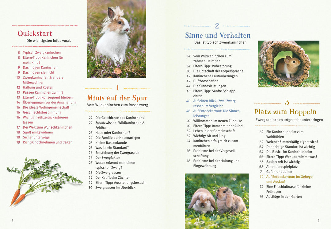 Liebenswerte Zwergkaninchen | Wegler, Monika