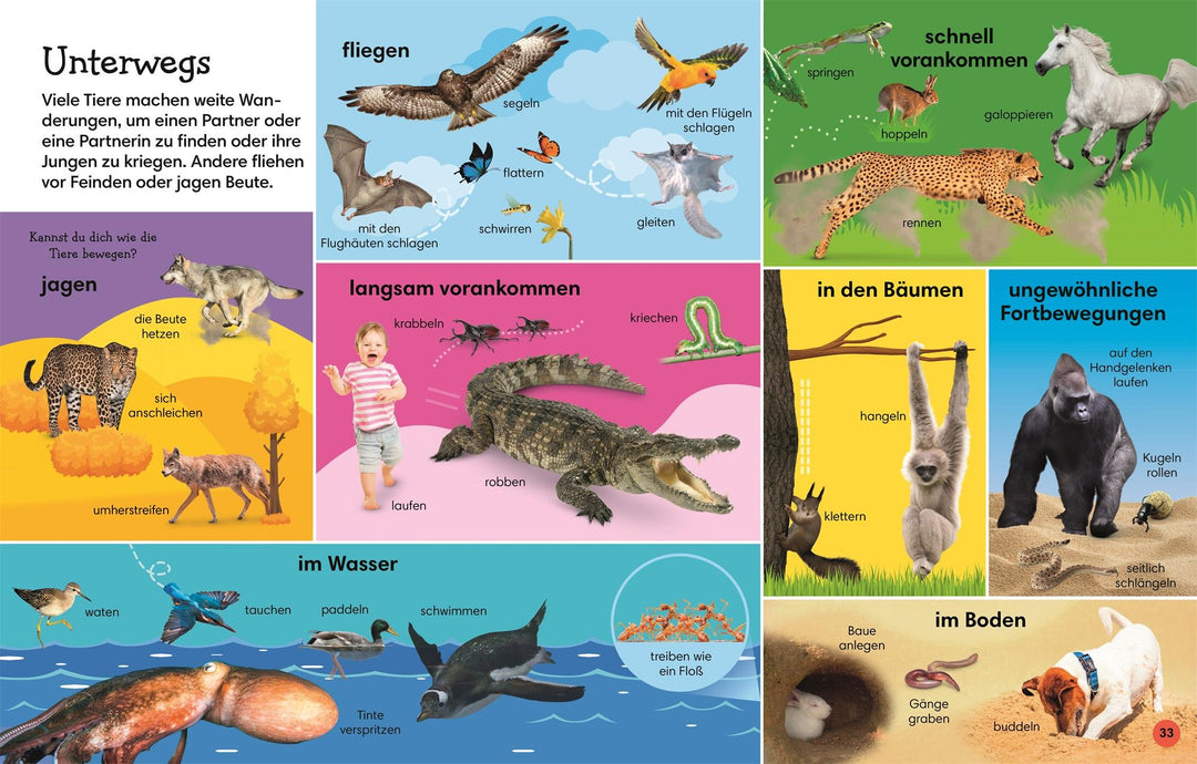 1000 erste Wörter. Tiere | Pottle, Jules