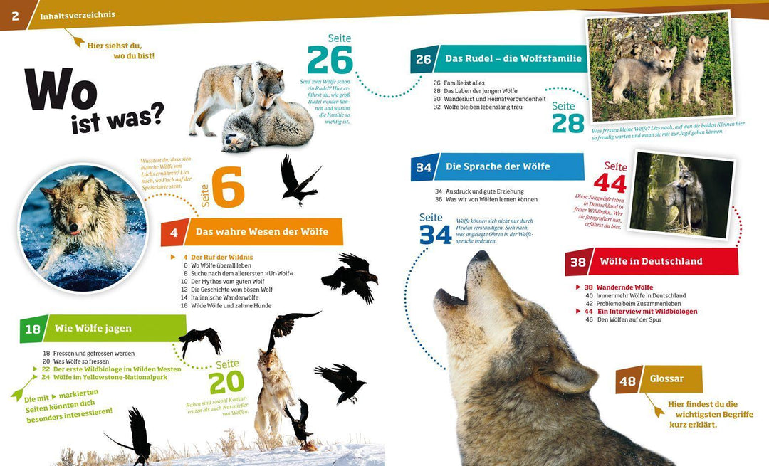 WAS IST WAS Band 104 Wölfe. Im Revier der grauen Jäger | Meyer, Till