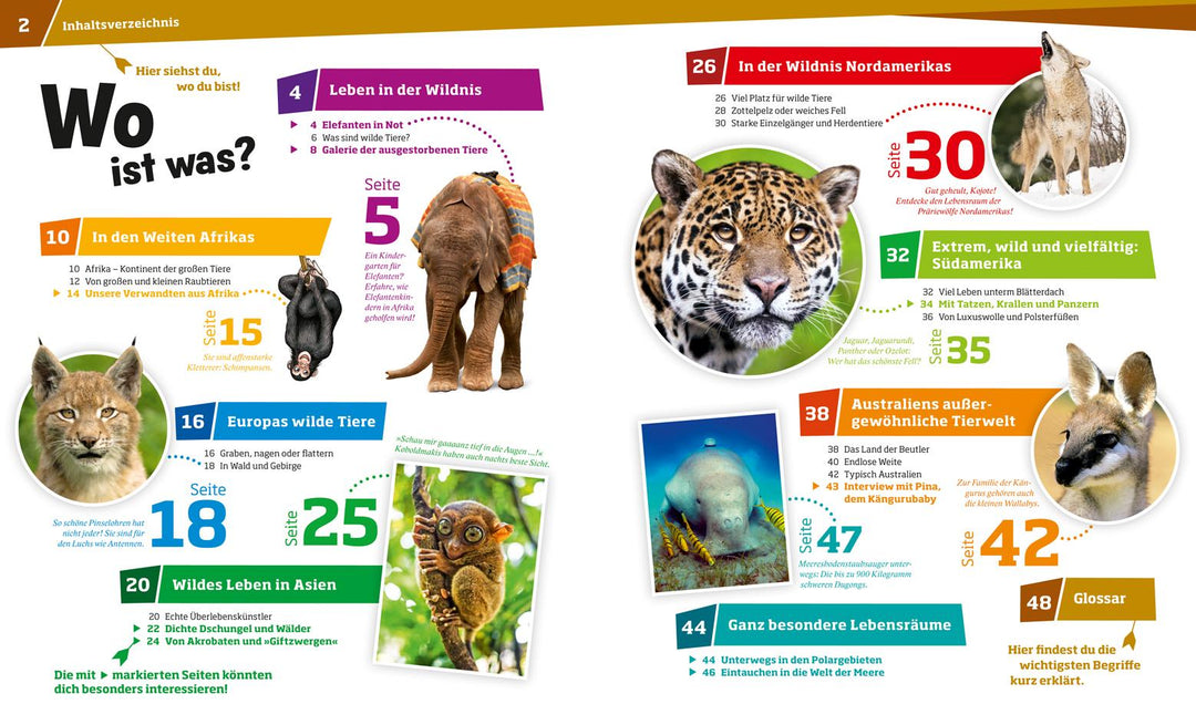 WAS IST WAS Band 13 Wilde Tiere. Ungezähmt in der Wildnis | Paxmann, Christine