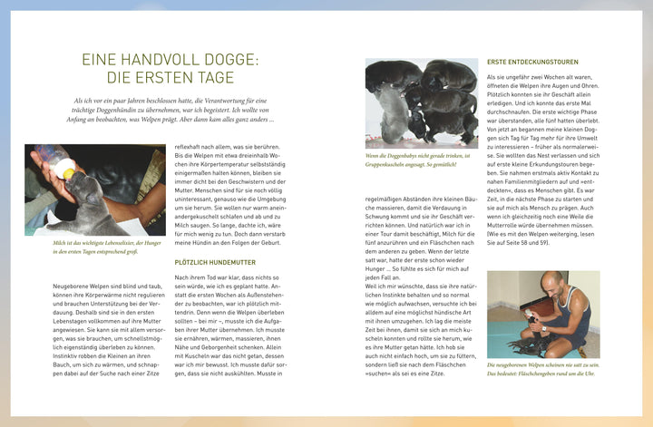 José Arces Welpenbuch | Arce, José